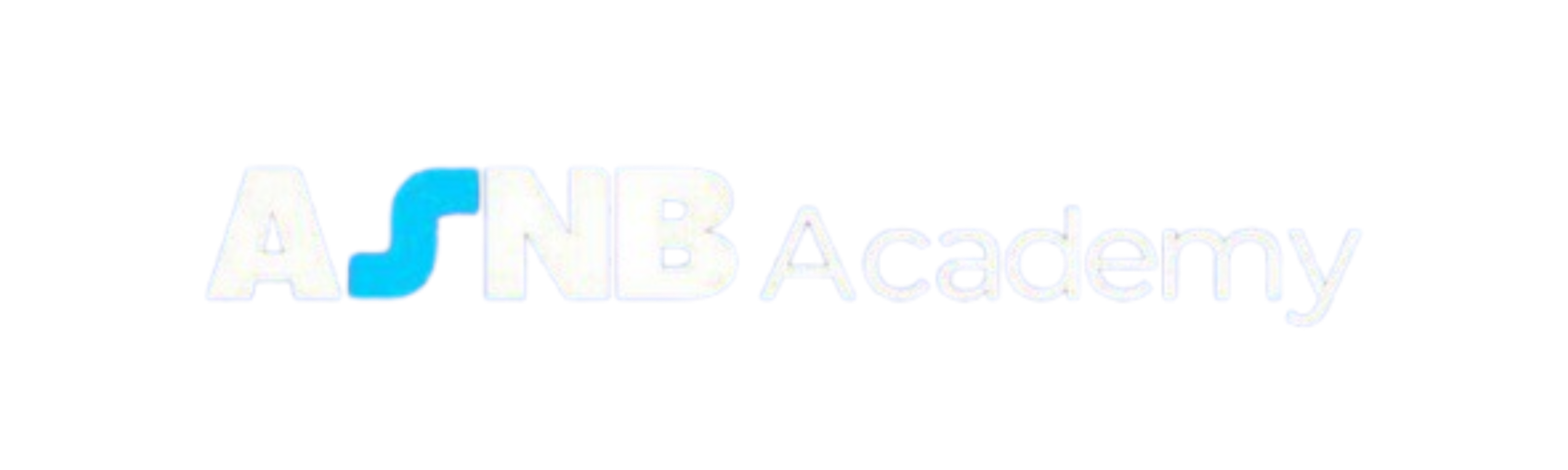 ASNB ACADEMY Logo